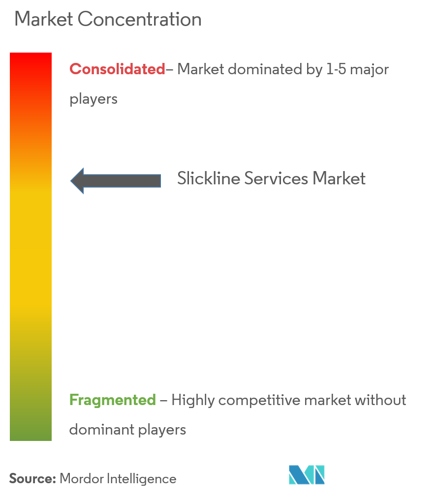 Slickline Services Market Concentration